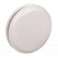 Tallriksventil 243 80